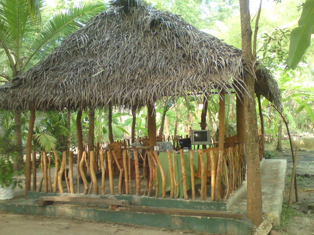 Coconut Park Anuradhapura Exterior photo