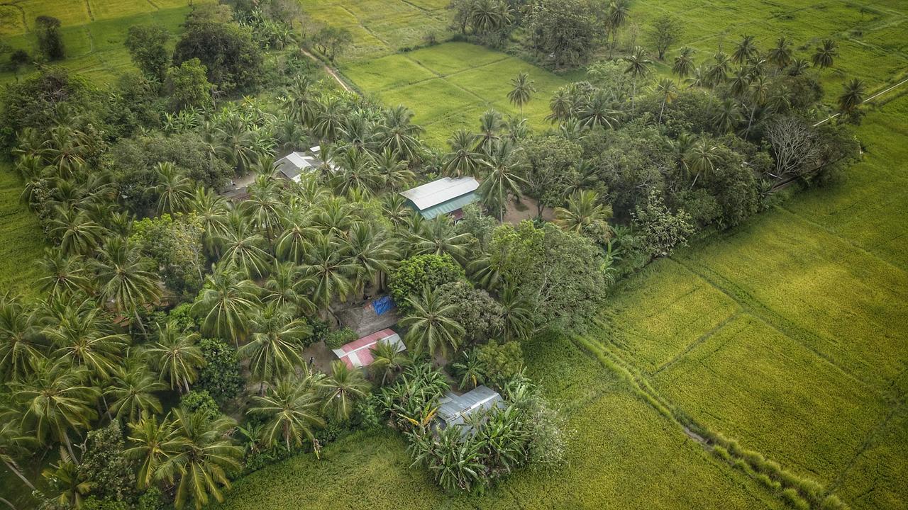 Coconut Park Anuradhapura Exterior photo