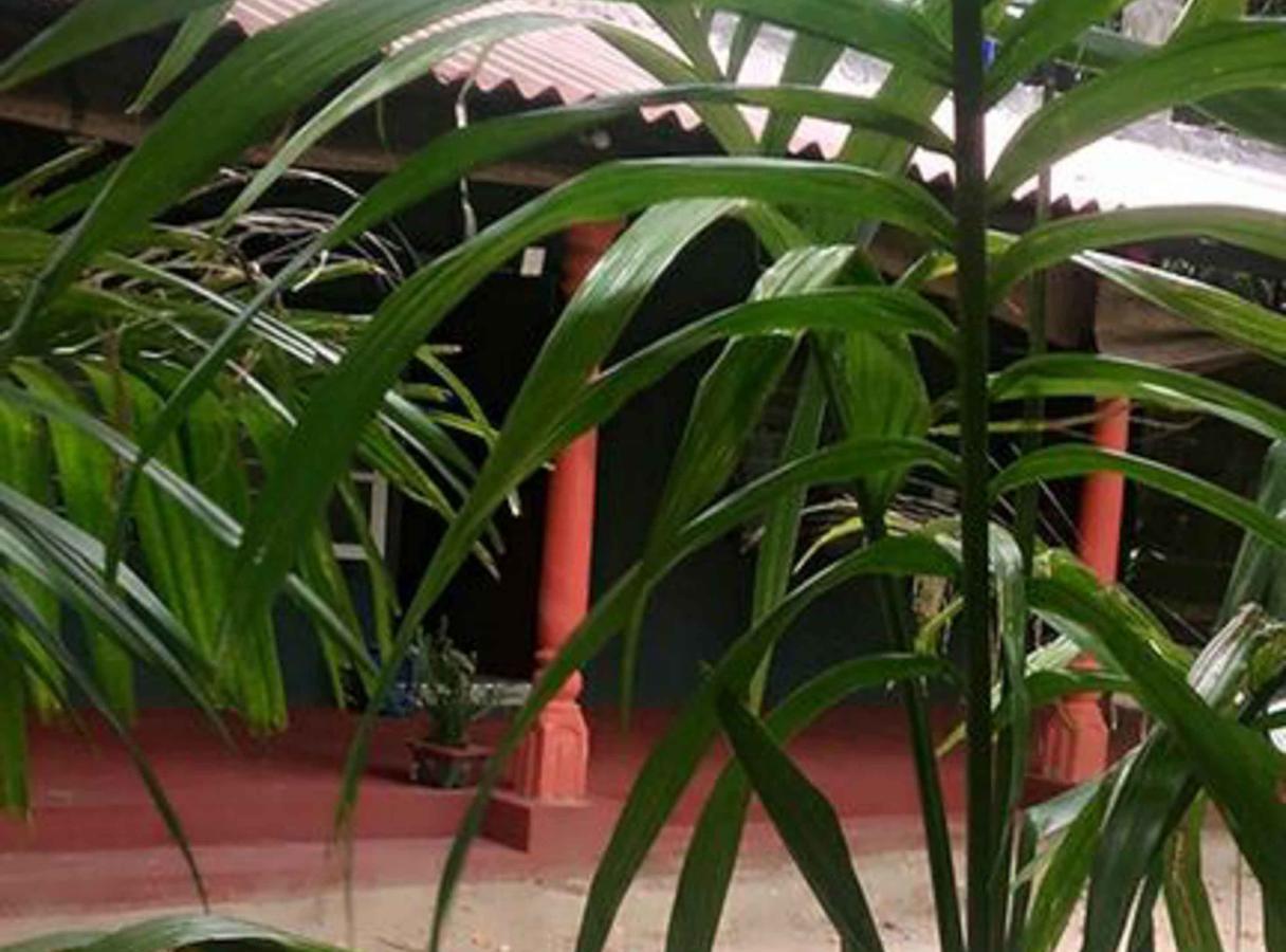 Coconut Park Anuradhapura Exterior photo